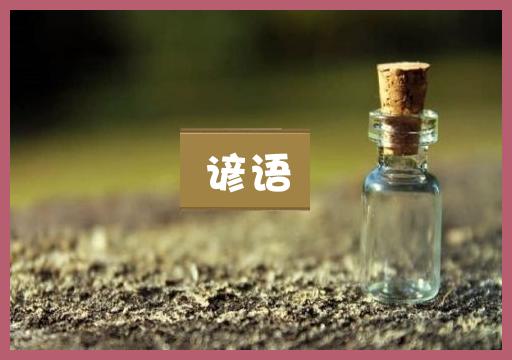谚语