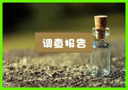 调查报告